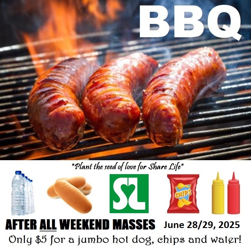 bbq sharelife 2025 update