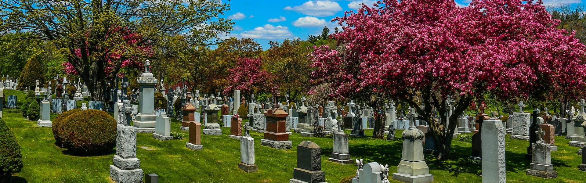 catholic cemeteries banner