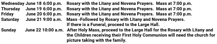 novena 2025 details