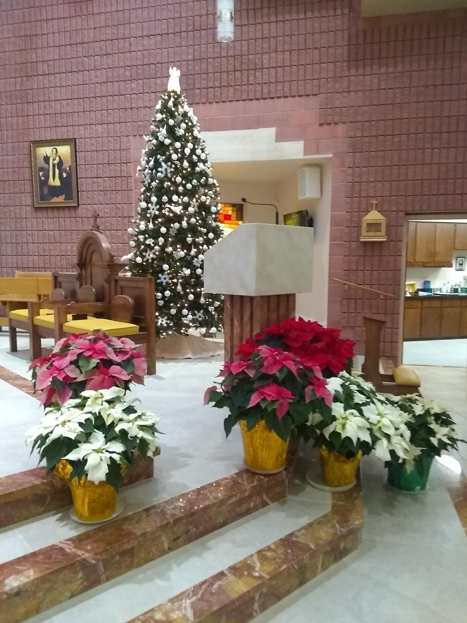 sanctuary christmas decorations 2024 c